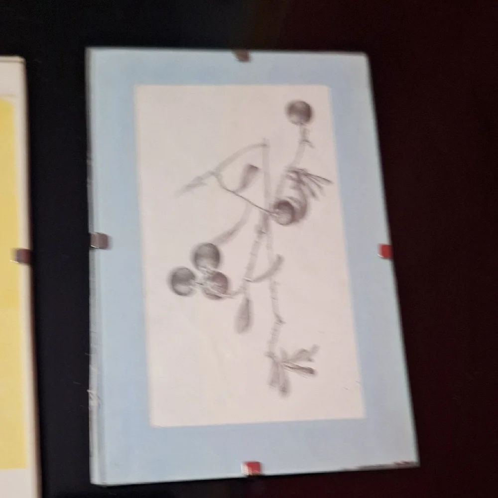 Vintage Botanical Art Trio | Signed BARSS | Pressed Leaf & Sketches - Picture 4 of 9